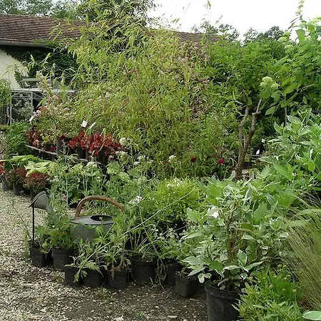 Chambres D'hotes Du Jardin Francais Ermenonville
