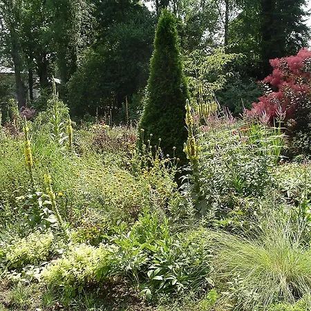 Du Jardin Francais Ermenonville