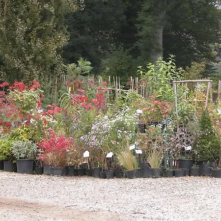 Du Jardin Francais