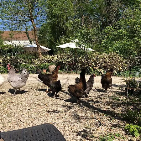 Du Jardin Francais