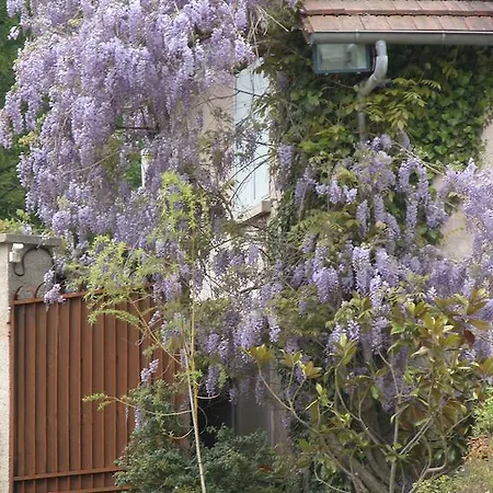 Du Jardin Francais Ermenonville